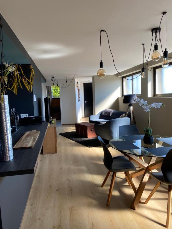 Appartement Atypique Epinal Gare Zewnętrze zdjęcie